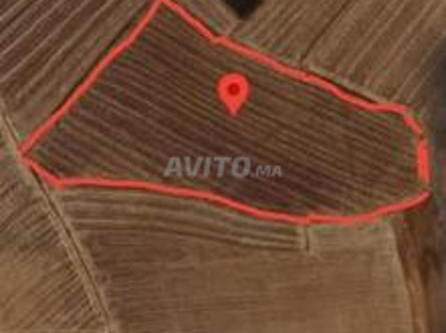 Propriété vente à Oulad Said, Gharb-Chrarda-Beni Hssen