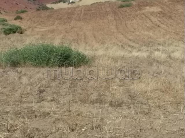Terrain vente