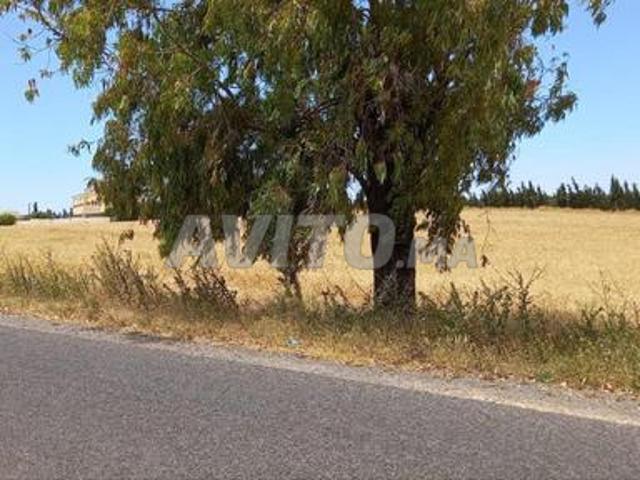 Propriété vente à Ben Ahmed, Gharb-Chrarda-Beni Hssen
