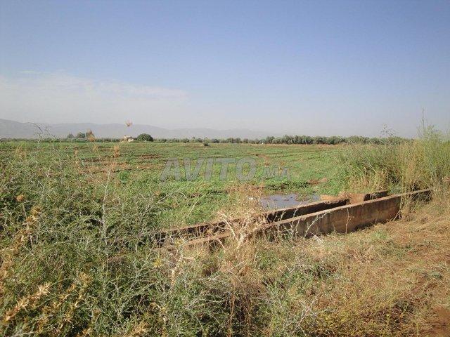 Propriété vente à Mellal