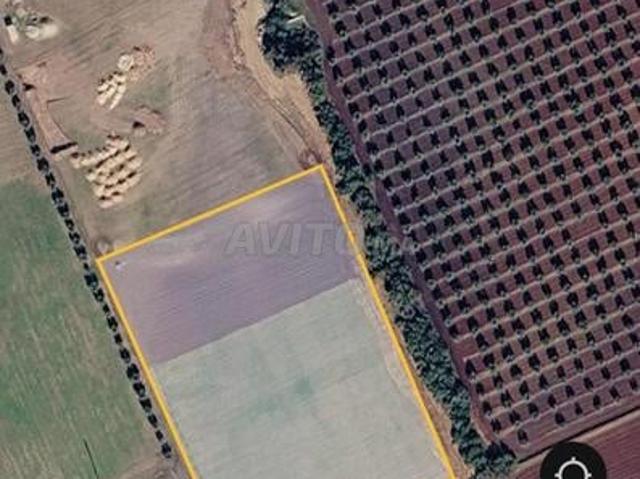 Propriété vente à Ain Taoujdat