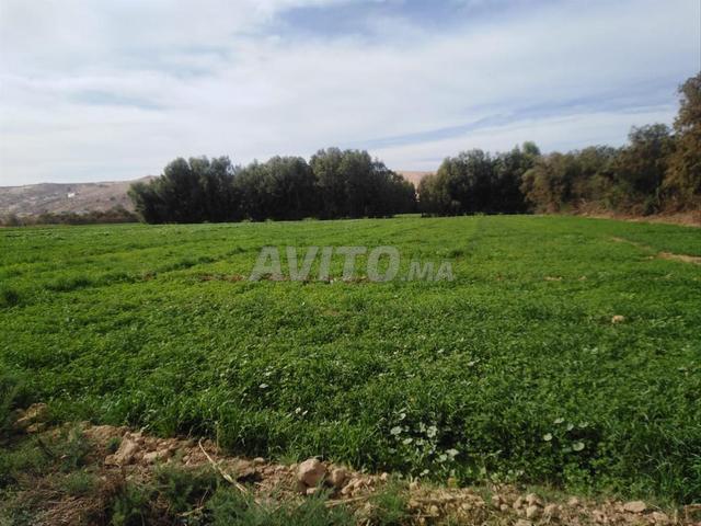 Propriété vente à Agadir Melloul, Oued ed Dahab-Lagouira