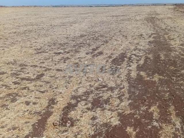 Propriété vente à El Ma, Gharb-Chrarda-Beni Hssen