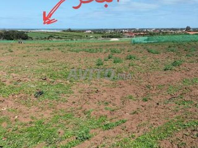 Propriété vente à El Ma, Gharb-Chrarda-Beni Hssen