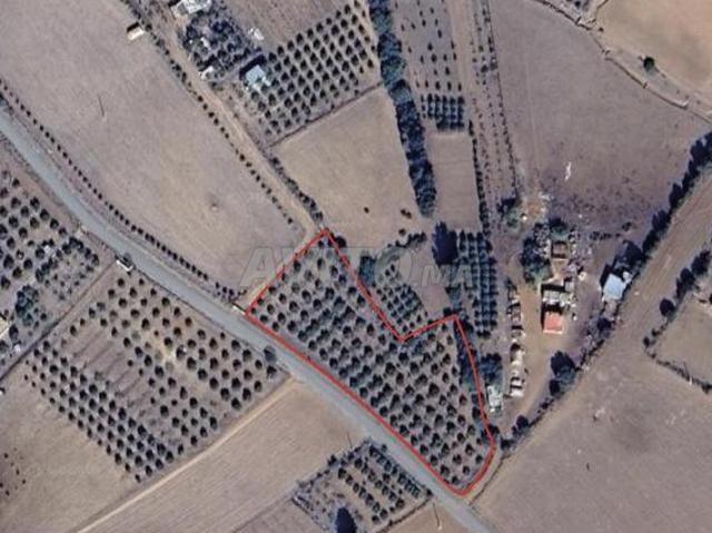Propriété vente à Sidi Allal El Bahraoui