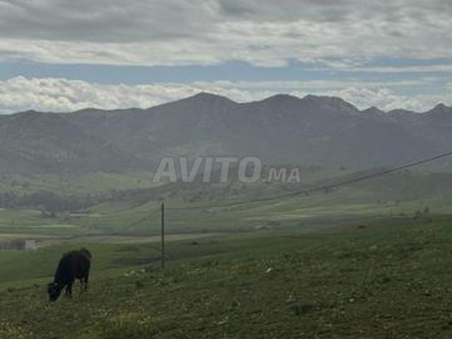 Propriété vente à Aguelmous