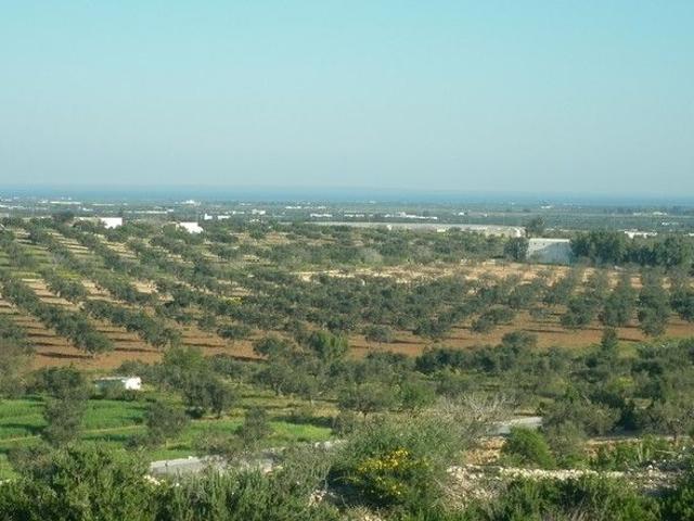 Terrain vente à Ksibet Sousse, Akouda