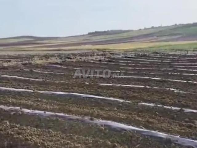 Propriété vente à Assilah أصيلة, Préfecture de Tanger-Assilah عمالة طنجة-أصيلة