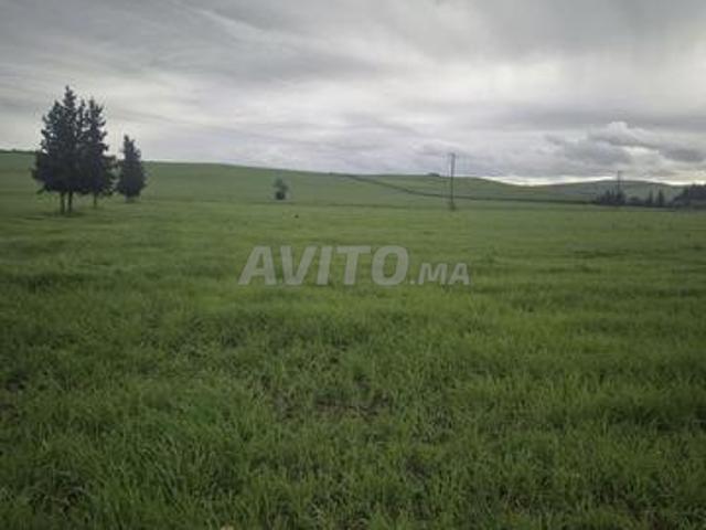 Propriété vente à Tahala