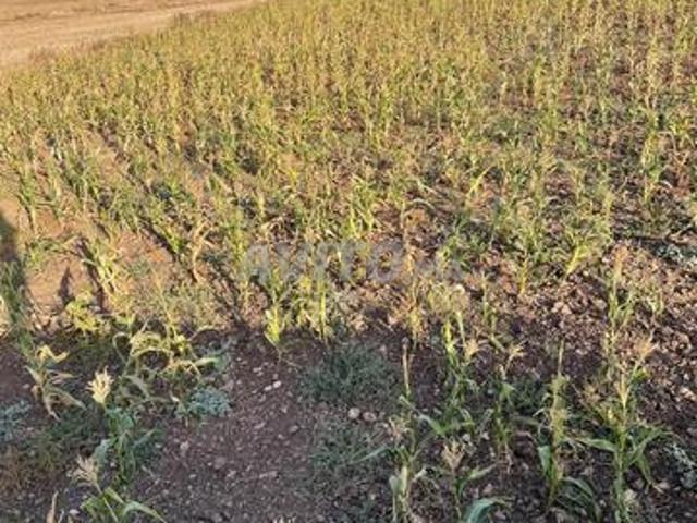 Propriété vente à El Ma, Gharb-Chrarda-Beni Hssen