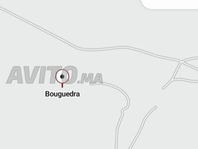 Propriété vente à Saf, L'Oriental
