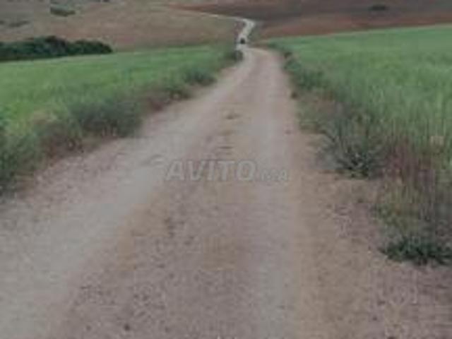 Propriété vente à Ifrane