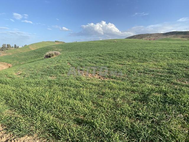 Propriété vente à Ar Rommani