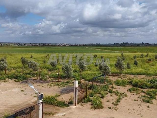 Propriété vente à Khouribga