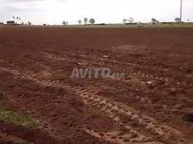 Propriété vente à El Ma, Gharb-Chrarda-Beni Hssen