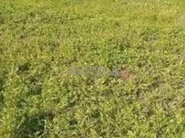 Propriété vente à Settat, Gharb-Chrarda-Beni Hssen