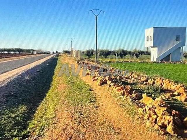Propriété vente à Meknès
