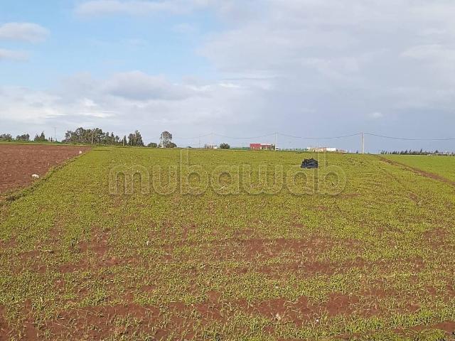 Terrain vente à El Ma, Gharb-Chrarda-Beni Hssen