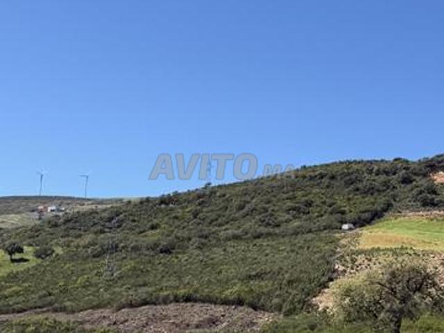 Propriété vente à El Fahs, Tanger-Tétouan