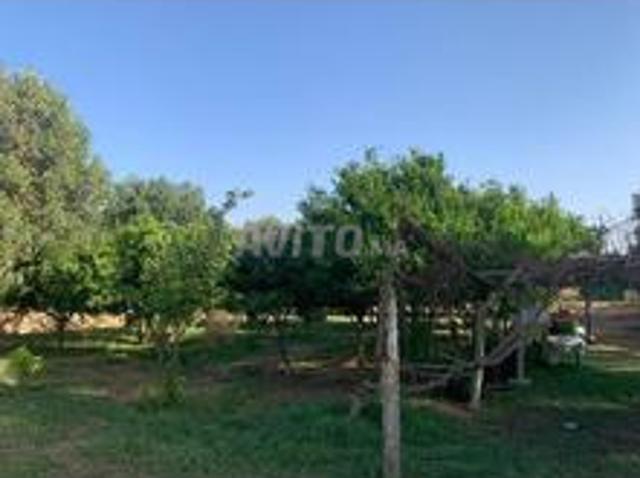 Propriété vente à Oued ed Dahab-Lagouira