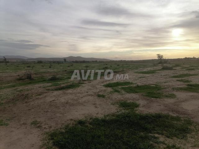 Propriété vente à Freija, Oued ed Dahab-Lagouira