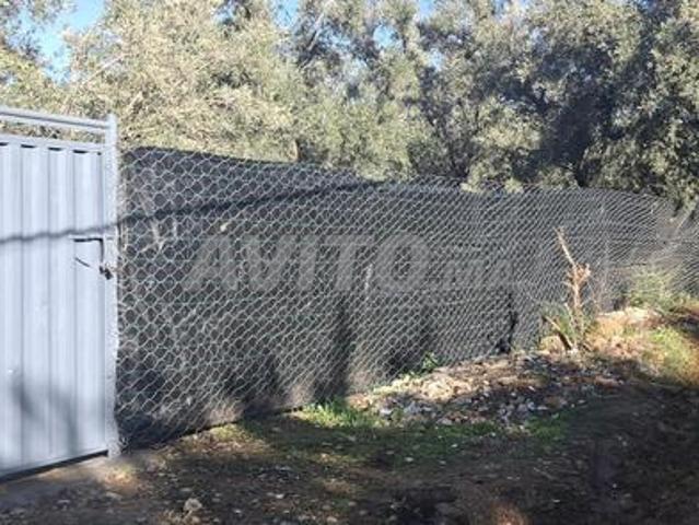 Propriété vente à Mellal
