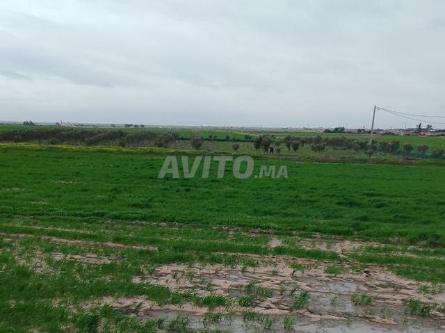 Propriété vente à Sidi Bennour, Gharb-Chrarda-Beni Hssen