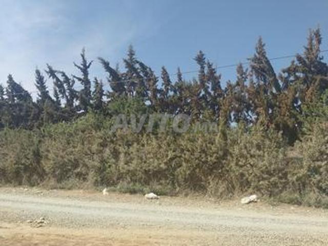 Propriété vente à Taroudant, Oued ed Dahab-Lagouira