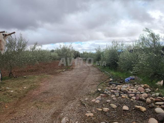 Propriété vente à Agadir, Oued ed Dahab-Lagouira