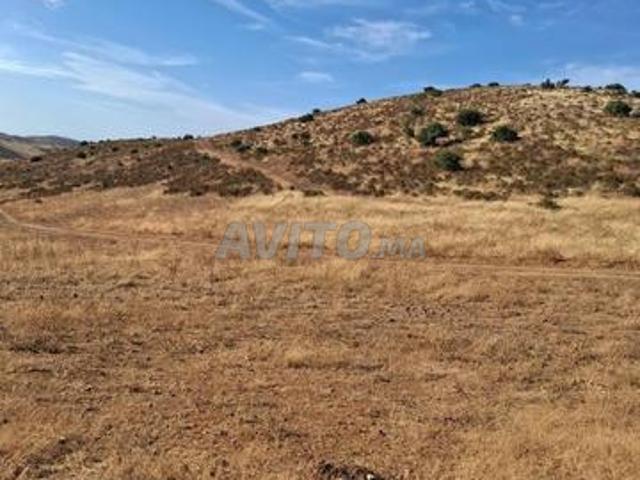 Propriété vente à Slimane, Gharb-Chrarda-Beni Hssen