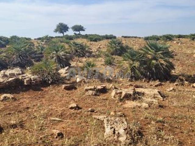 Propriété vente à Ifrane