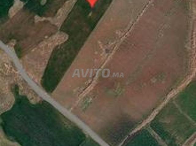 Propriété vente à Azrou