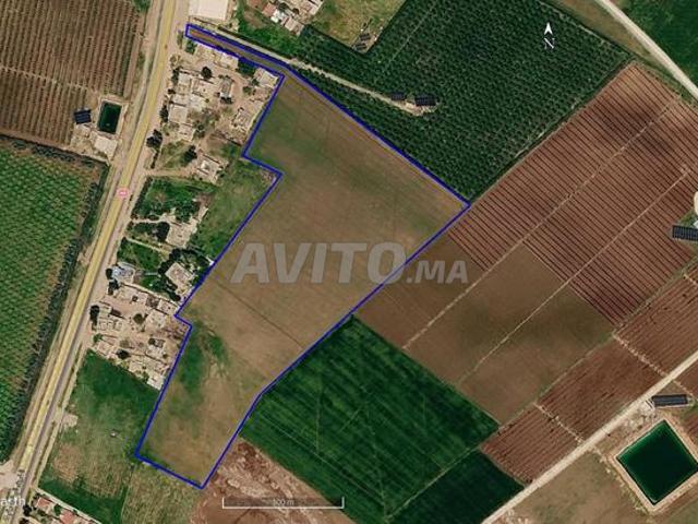 Propriété vente à Mellal