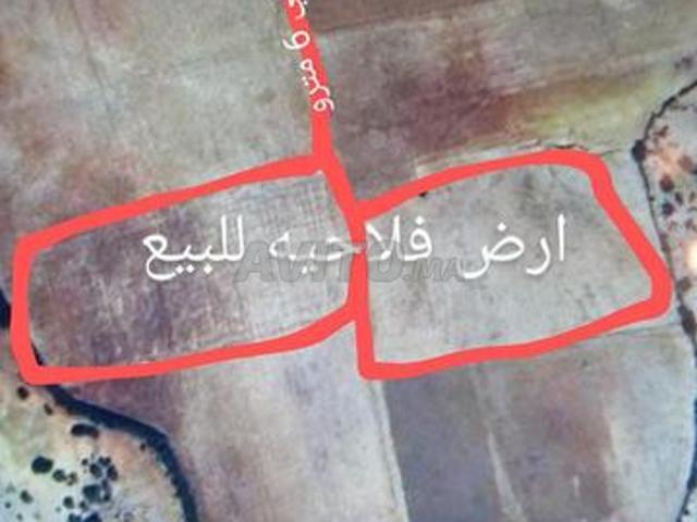Propriété vente à Slimane, Gharb-Chrarda-Beni Hssen