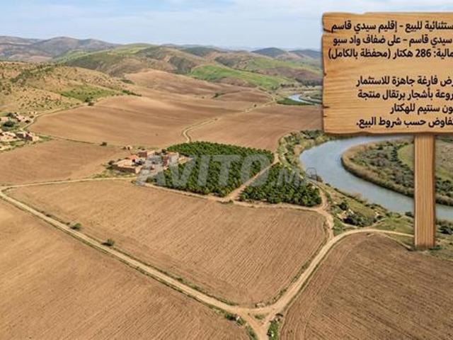Propriété vente à Sidi Qacem