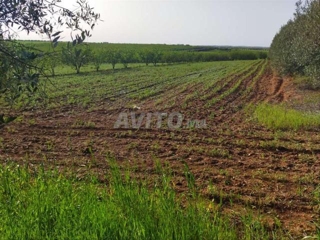 Propriété vente à Meknès
