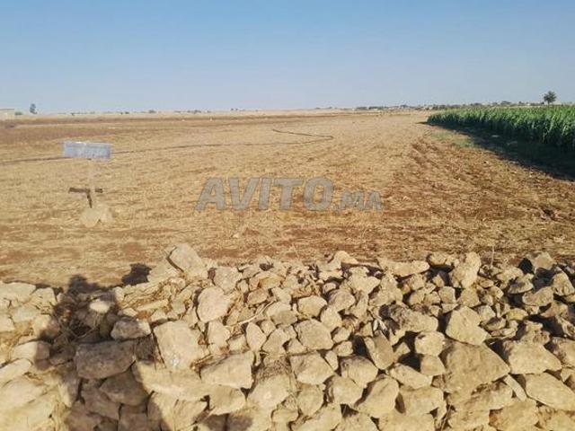 Propriété vente à El Ma, Gharb-Chrarda-Beni Hssen