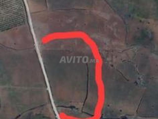 Propriété vente à Azrou