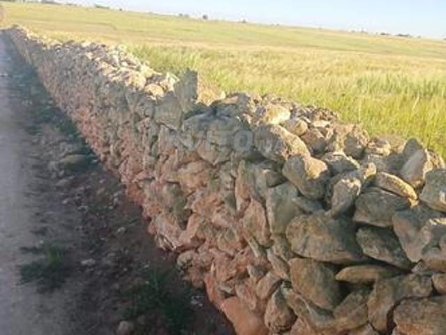 Propriété vente à El Ma, Gharb-Chrarda-Beni Hssen
