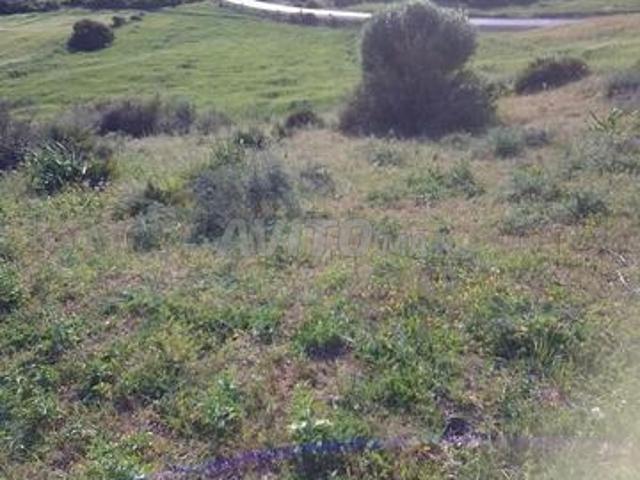 Propriété vente à Tangero, Tanger-Tétouan