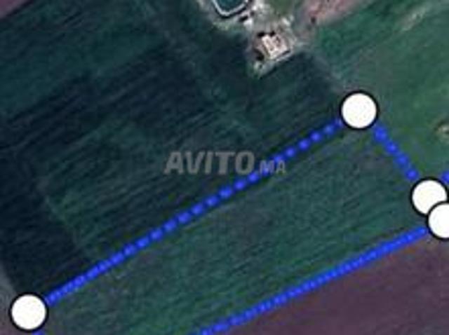 Propriété vente à Settat, Gharb-Chrarda-Beni Hssen