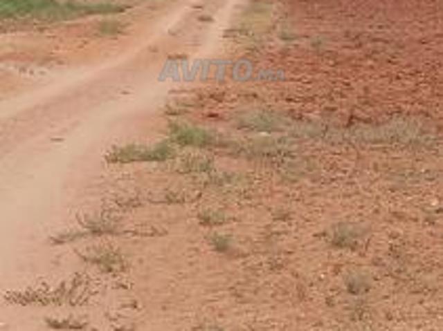 Propriété vente à Sidi Bennour, Gharb-Chrarda-Beni Hssen
