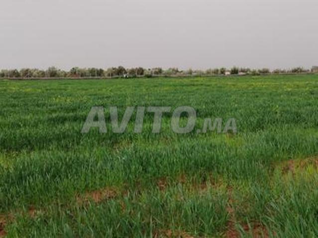 Propriété vente à Al Haouz, L'Oriental