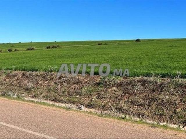 Propriété vente à Settat, Gharb-Chrarda-Beni Hssen