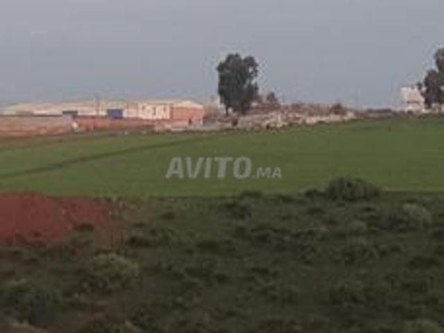 Propriété vente à Témara