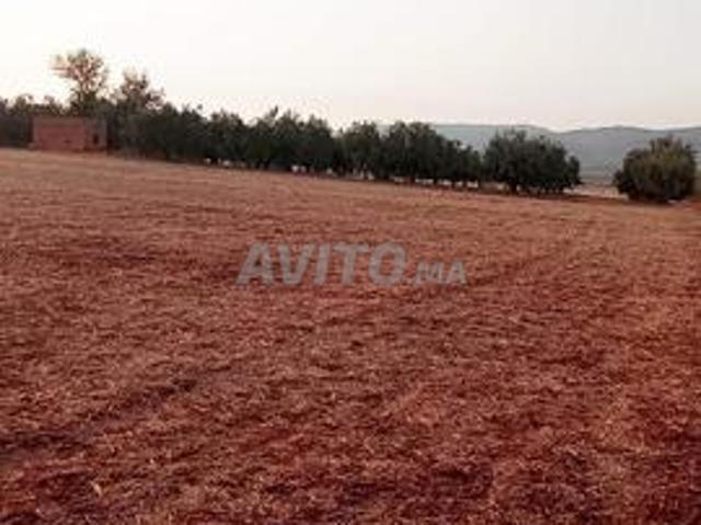 Propriété vente à Meknès