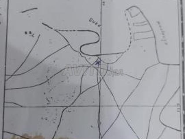 Propriété vente à Berkane