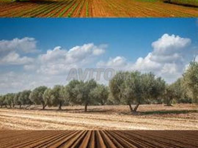 Propriété vente à Ouazzane, Tanger-Tétouan