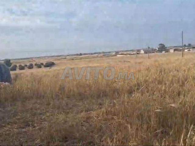 Propriété vente à Berrechid, Gharb-Chrarda-Beni Hssen