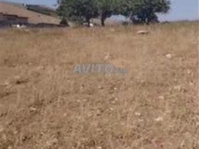 Propriété vente à Berrechid, Gharb-Chrarda-Beni Hssen